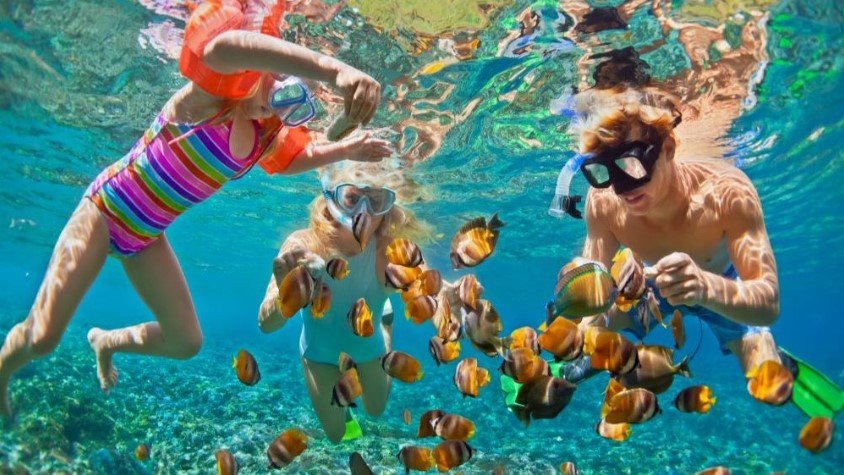 The Best Places to Snorkel in Hawaii